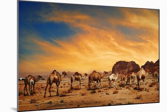 Camels In Wadi Rum-hitdelight-Mounted Art Print