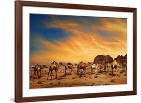 Camels In Wadi Rum-hitdelight-Framed Art Print