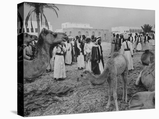 Camels Inspected by Sheik Shakhbut, Ruler of Oil-Rich Kingdom, with Other Arabs-Ralph Crane-Stretched Canvas