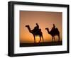 Camels Near the Pyramids at Giza, Cairo, Egypt-Doug Pearson-Framed Photographic Print