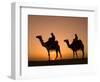 Camels Near the Pyramids at Giza, Cairo, Egypt-Doug Pearson-Framed Photographic Print