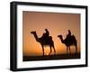 Camels Near the Pyramids at Giza, Cairo, Egypt-Doug Pearson-Framed Photographic Print