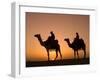 Camels Near the Pyramids at Giza, Cairo, Egypt-Doug Pearson-Framed Photographic Print