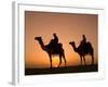 Camels Near the Pyramids at Giza, Cairo, Egypt-Doug Pearson-Framed Photographic Print