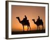 Camels Near the Pyramids at Giza, Cairo, Egypt-Doug Pearson-Framed Photographic Print