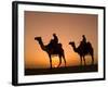 Camels Near the Pyramids at Giza, Cairo, Egypt-Doug Pearson-Framed Photographic Print