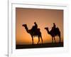 Camels Near the Pyramids at Giza, Cairo, Egypt-Doug Pearson-Framed Photographic Print