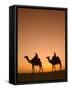 Camels Near the Pyramids at Giza, Cairo, Egypt-Doug Pearson-Framed Stretched Canvas