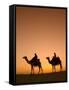 Camels Near the Pyramids at Giza, Cairo, Egypt-Doug Pearson-Framed Stretched Canvas