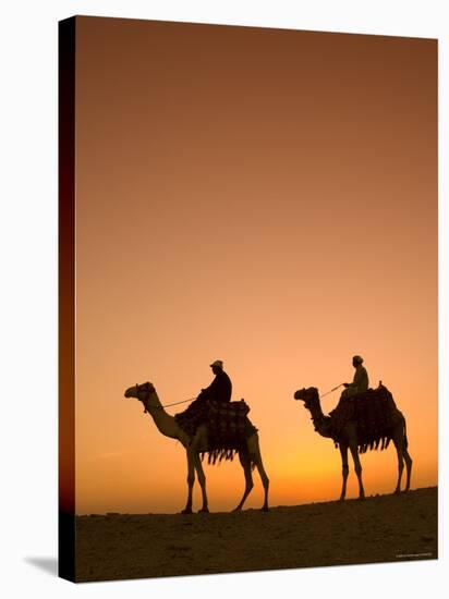 Camels Near the Pyramids at Giza, Cairo, Egypt-Doug Pearson-Stretched Canvas