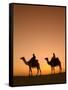 Camels Near the Pyramids at Giza, Cairo, Egypt-Doug Pearson-Framed Stretched Canvas