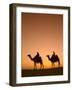 Camels Near the Pyramids at Giza, Cairo, Egypt-Doug Pearson-Framed Photographic Print