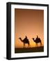 Camels Near the Pyramids at Giza, Cairo, Egypt-Doug Pearson-Framed Photographic Print