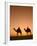 Camels Near the Pyramids at Giza, Cairo, Egypt-Doug Pearson-Framed Photographic Print