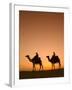 Camels Near the Pyramids at Giza, Cairo, Egypt-Doug Pearson-Framed Photographic Print