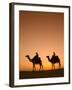 Camels Near the Pyramids at Giza, Cairo, Egypt-Doug Pearson-Framed Photographic Print