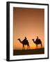 Camels Near the Pyramids at Giza, Cairo, Egypt-Doug Pearson-Framed Photographic Print