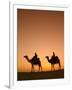 Camels Near the Pyramids at Giza, Cairo, Egypt-Doug Pearson-Framed Photographic Print