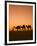 Camels Near the Pyramids at Giza, Cairo, Egypt-Doug Pearson-Framed Photographic Print