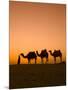 Camels Near the Pyramids at Giza, Cairo, Egypt-Doug Pearson-Mounted Photographic Print