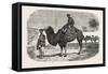 Camels of the North of China-null-Framed Stretched Canvas