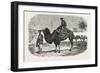 Camels of the North of China-null-Framed Giclee Print