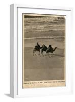Camels on Seashore, Tel Aviv, Israel-null-Framed Art Print