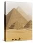 Camels Pass in Front of the Pyramids at Giza, Egypt-Julian Love-Stretched Canvas