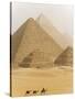 Camels Pass in Front of the Pyramids at Giza, Egypt-Julian Love-Stretched Canvas