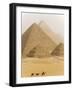 Camels Pass in Front of the Pyramids at Giza, Egypt-Julian Love-Framed Photographic Print