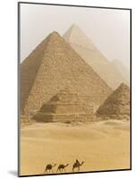 Camels Pass in Front of the Pyramids at Giza, Egypt-Julian Love-Mounted Photographic Print