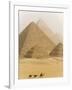 Camels Pass in Front of the Pyramids at Giza, Egypt-Julian Love-Framed Photographic Print