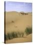 Camels Walking in Desert, Morocco-Michael Brown-Stretched Canvas