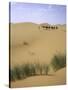 Camels Walking in Desert, Morocco-Michael Brown-Stretched Canvas