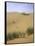 Camels Walking in Desert, Morocco-Michael Brown-Framed Stretched Canvas