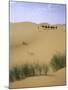 Camels Walking in Desert, Morocco-Michael Brown-Mounted Premium Photographic Print