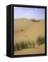 Camels Walking in Desert, Morocco-Michael Brown-Framed Stretched Canvas