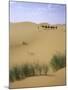 Camels Walking in Desert, Morocco-Michael Brown-Mounted Photographic Print