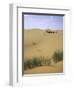 Camels Walking in Desert, Morocco-Michael Brown-Framed Photographic Print