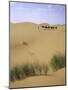 Camels Walking in Desert, Morocco-Michael Brown-Mounted Photographic Print