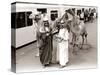 Camels with Arab Handlers at Olympia Station, August 1986-null-Stretched Canvas