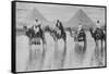 Camels with Native Riders on Board Stand in Reflective Floodwaters-null-Framed Stretched Canvas