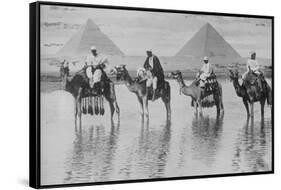 Camels with Native Riders on Board Stand in Reflective Floodwaters-null-Framed Stretched Canvas