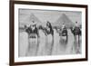 Camels with Native Riders on Board Stand in Reflective Floodwaters-null-Framed Premium Giclee Print