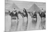 Camels with Native Riders on Board Stand in Reflective Floodwaters-null-Mounted Premium Giclee Print