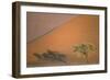 Camelthorn Tree at a Sand Dune in the Namib Desert-null-Framed Photographic Print