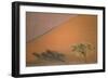 Camelthorn Tree at a Sand Dune in the Namib Desert-null-Framed Photographic Print