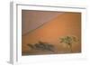 Camelthorn Tree at a Sand Dune in the Namib Desert-null-Framed Photographic Print