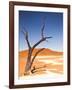 Camelthorn Tree in Dead Vlei, Namibia-Frances Gallogly-Framed Photographic Print