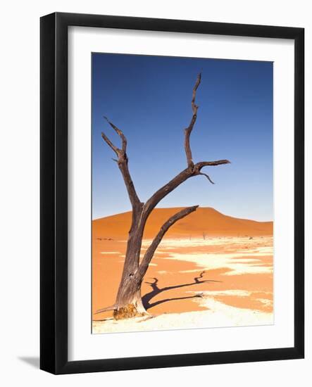 Camelthorn Tree in Dead Vlei, Namibia-Frances Gallogly-Framed Photographic Print
